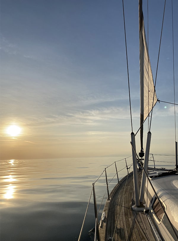 sailcoop-vector1-min